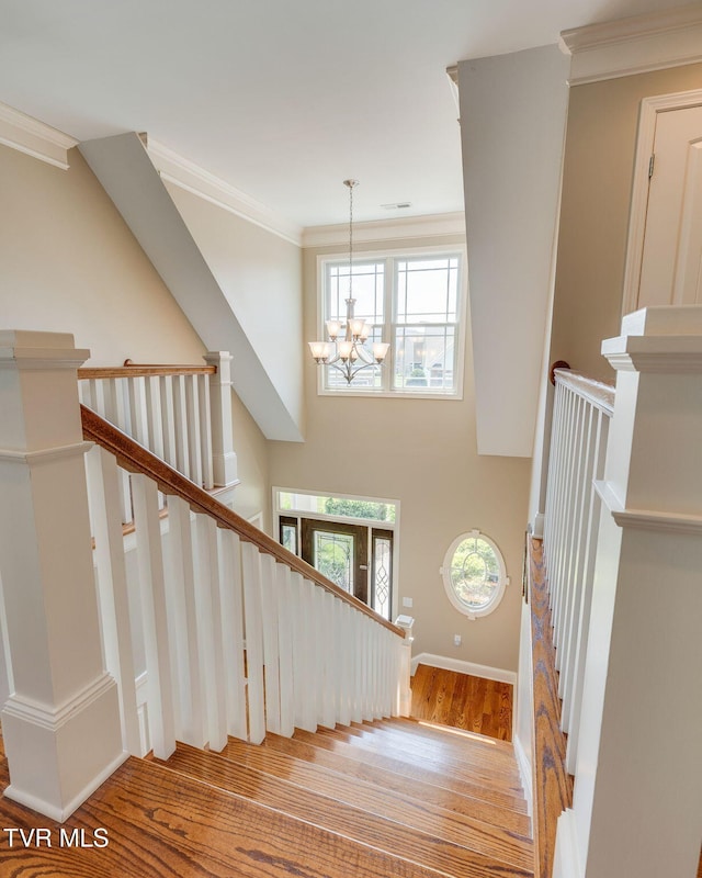 1107 Jasmine Pl, Kingsport, TN 37664 - photo 3