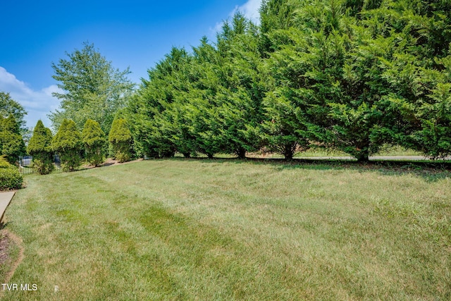 1107 Jasmine Pl, Kingsport, TN 37664 - photo 36