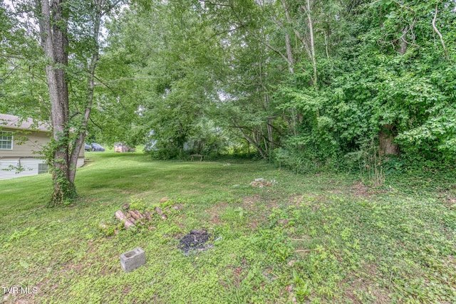 1367 Milligan Hwy, Johnson City, TN 37601 - view of grassy yard