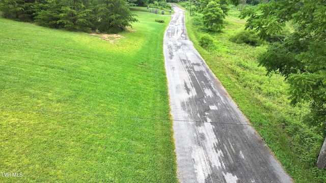 901 Grassy Creek Rd, Rogersville, TN 37857 - photo 4