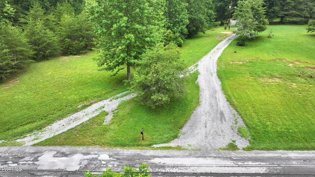 901 Grassy Creek Rd, Rogersville, TN 37857 - photo 5