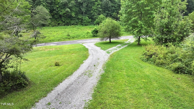 901 Grassy Creek Rd, Rogersville, TN 37857 - photo 6