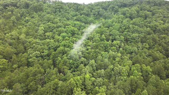 901 Grassy Creek Rd, Rogersville, TN 37857 - photo 7
