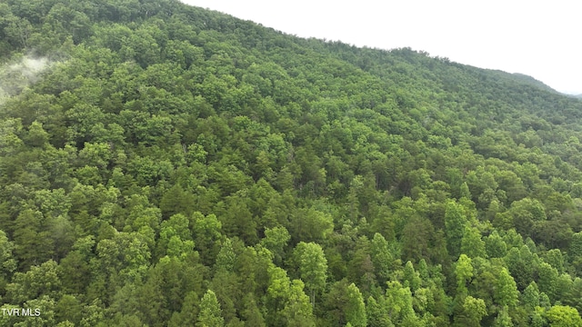 901 Grassy Creek Rd, Rogersville, TN 37857 - photo 8