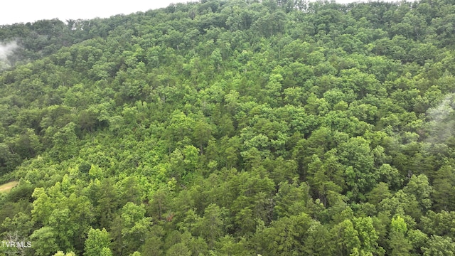 901 Grassy Creek Rd, Rogersville, TN 37857 - photo 9