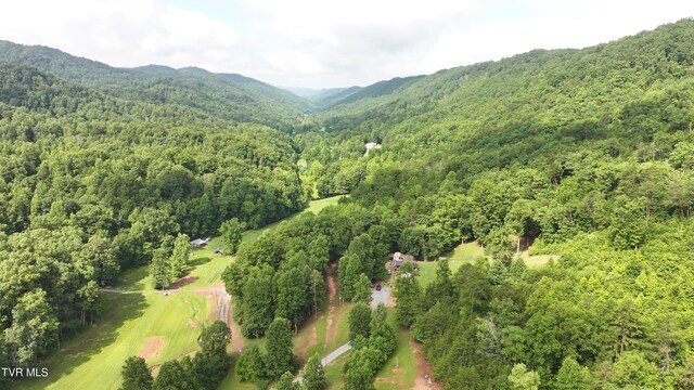 901 Grassy Creek Rd, Rogersville, TN 37857 - photo 10