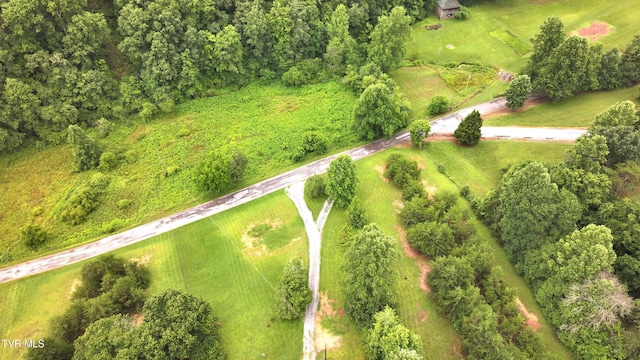 901 Grassy Creek Rd, Rogersville, TN 37857 - photo 11