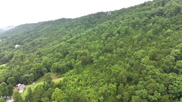 901 Grassy Creek Rd, Rogersville, TN 37857 - photo 13