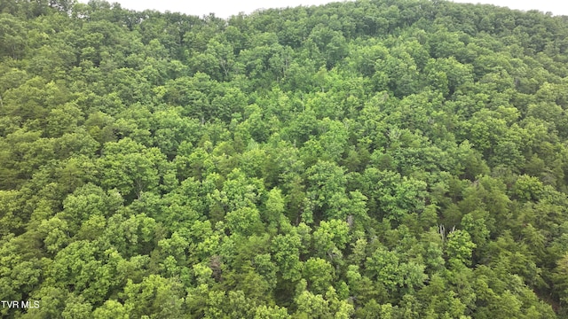 901 Grassy Creek Rd, Rogersville, TN 37857 - photo 14