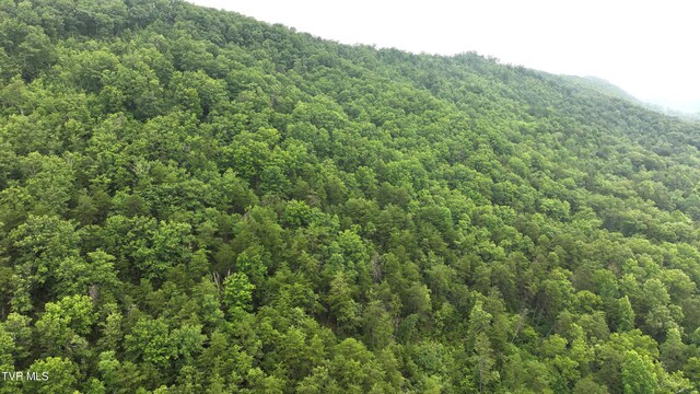 901 Grassy Creek Rd, Rogersville, TN 37857 - photo 15