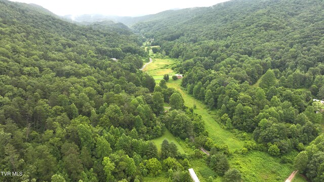 901 Grassy Creek Rd, Rogersville, TN 37857 - photo 16