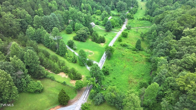 901 Grassy Creek Rd, Rogersville, TN 37857 - photo 19