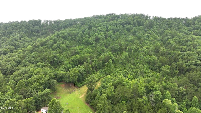 901 Grassy Creek Rd, Rogersville, TN 37857 - photo 20