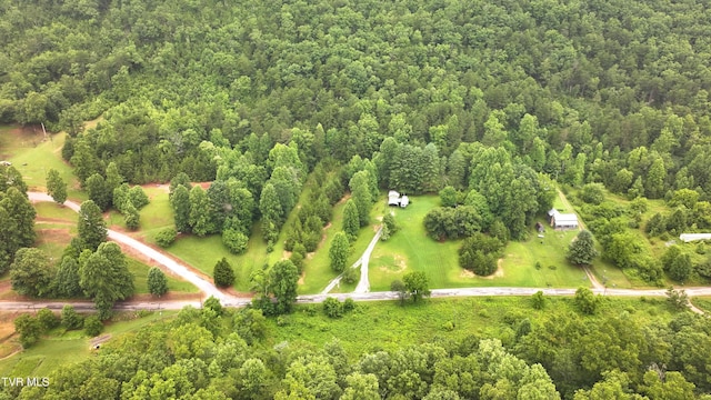 901 Grassy Creek Rd, Rogersville, TN 37857 - photo 21