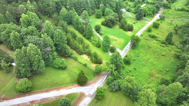 901 Grassy Creek Rd, Rogersville, TN 37857 - photo 22