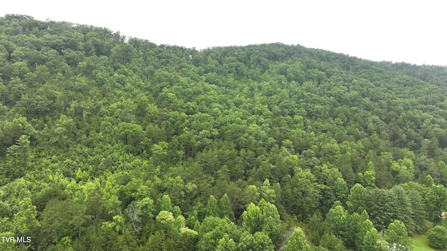 901 Grassy Creek Rd, Rogersville, TN 37857 - photo 23