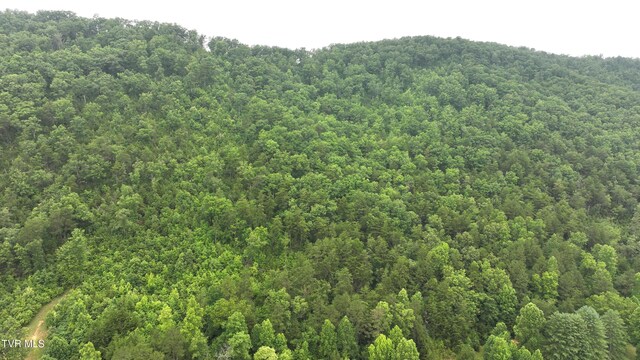 901 Grassy Creek Rd, Rogersville, TN 37857 - photo 24