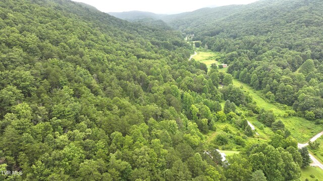 901 Grassy Creek Rd, Rogersville, TN 37857 - photo 25