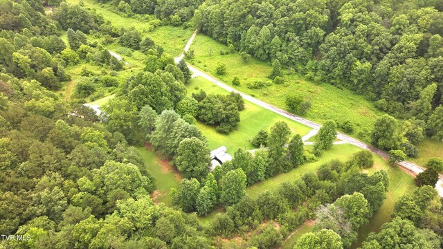 901 Grassy Creek Rd, Rogersville, TN 37857 - photo 26
