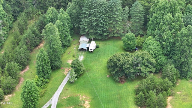901 Grassy Creek Rd, Rogersville, TN 37857 - photo 29
