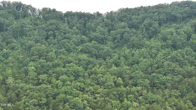 901 Grassy Creek Rd, Rogersville, TN 37857 - photo 30
