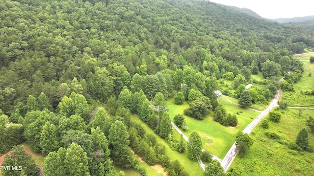 901 Grassy Creek Rd, Rogersville, TN 37857 - photo 31