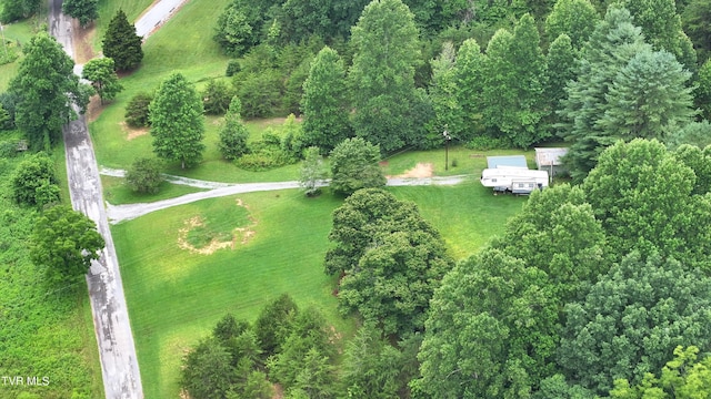 901 Grassy Creek Rd, Rogersville, TN 37857 - photo 33