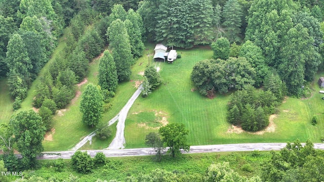 901 Grassy Creek Rd, Rogersville, TN 37857 - photo 34