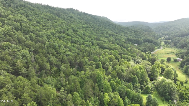 901 Grassy Creek Rd, Rogersville, TN 37857 - photo 35