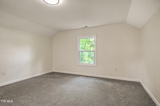 1010 Gibson Mill Rd, Kingsport, TN 37660 - bonus room with vaulted ceiling and carpet floors