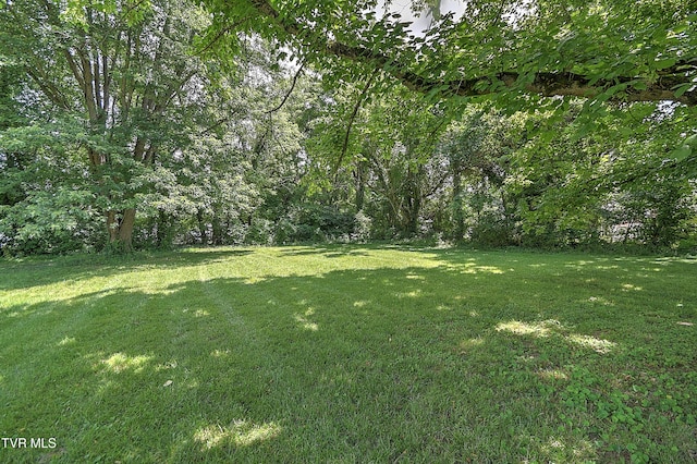 1010 Gibson Mill Rd, Kingsport, TN 37660 - view of grassy yard