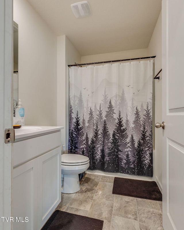 1233 Stamp Lodge Rd, Kingsport, TN 37660 - full bath with vanity, a shower with shower curtain, and stone finish flooring