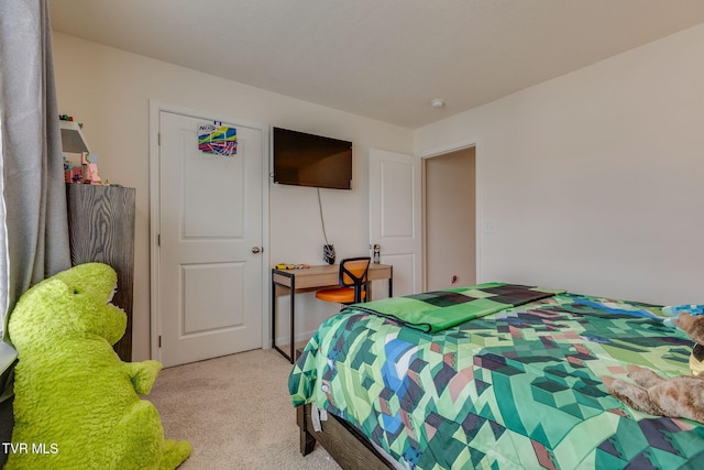 1233 Stamp Lodge Rd, Kingsport, TN 37660 - bedroom featuring light carpet