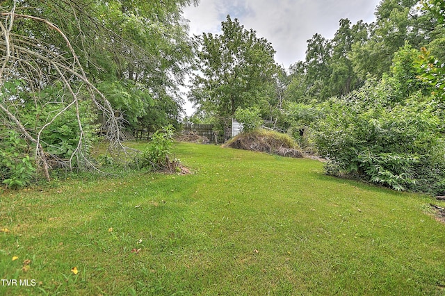 116 Esther St, Bristol, TN 37620 - view of green lawn