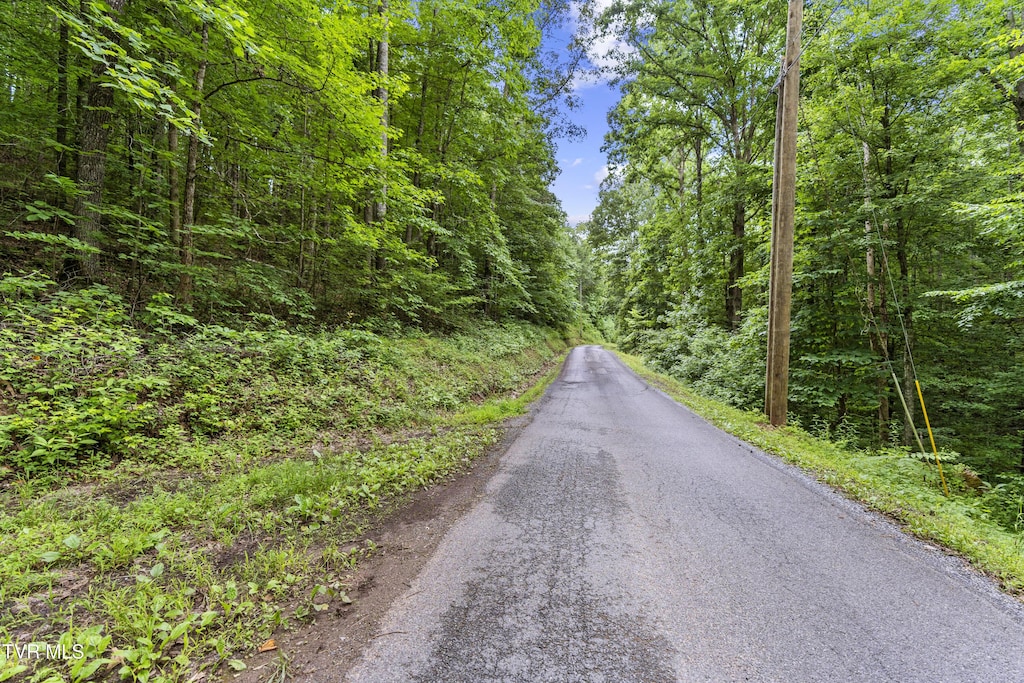 TBD Speedwell Ln, Bulls Gap, TN 37711 - photo 1
