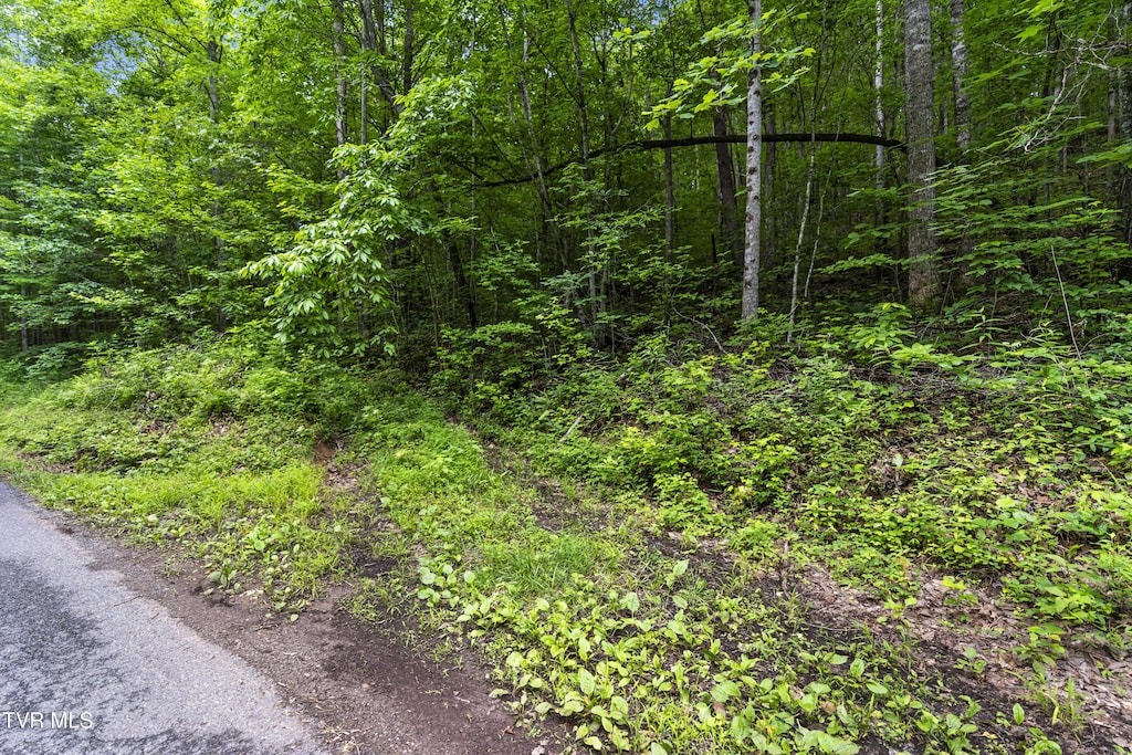 TBD Speedwell Ln, Bulls Gap, TN 37711 - photo 2