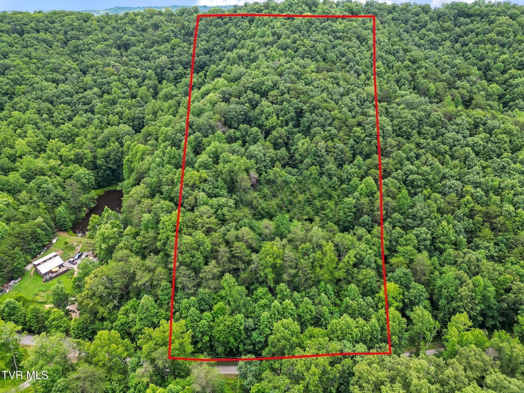TBD Speedwell Ln, Bulls Gap, TN 37711 - photo 3