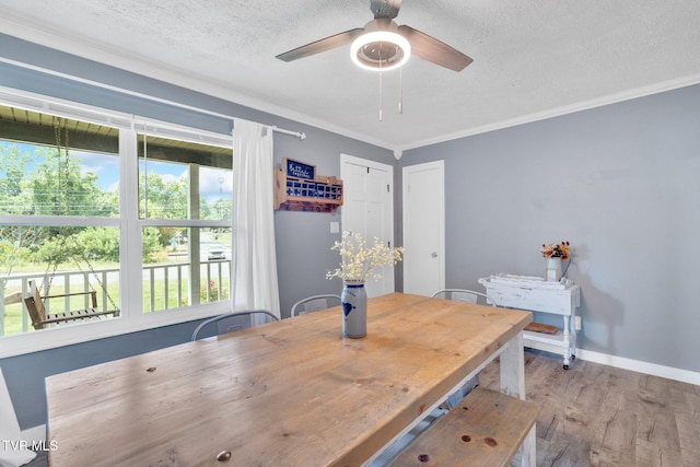8202 Westland Dr, Knoxville, TN 37919 - dining space with wood finished floors, ceiling fan, ornamental molding, and a textured ceiling