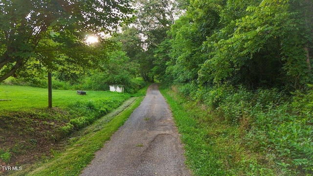 TBD Bunker Hill Rd, Rogersville, TN 37857 - photo 1