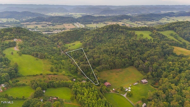 TBD Bunker Hill Rd, Rogersville, TN 37857 - photo 2