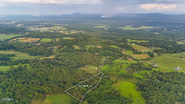 TBD Bunker Hill Rd, Rogersville, TN 37857 - photo 4