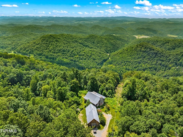 3388 Short Mountain Rd, Sneedville, TN 37869 - photo 37
