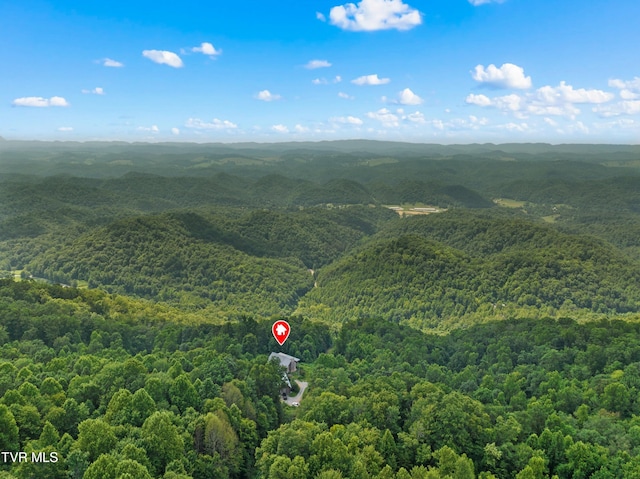 3388 Short Mountain Rd, Sneedville, TN 37869 - photo 58