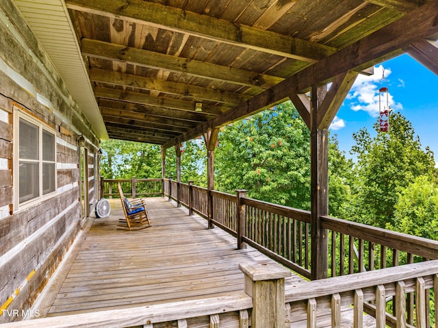 3388 Short Mountain Rd, Sneedville, TN 37869 - photo 30