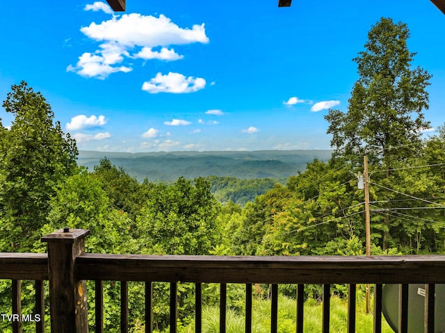 3388 Short Mountain Rd, Sneedville, TN 37869 - photo 33
