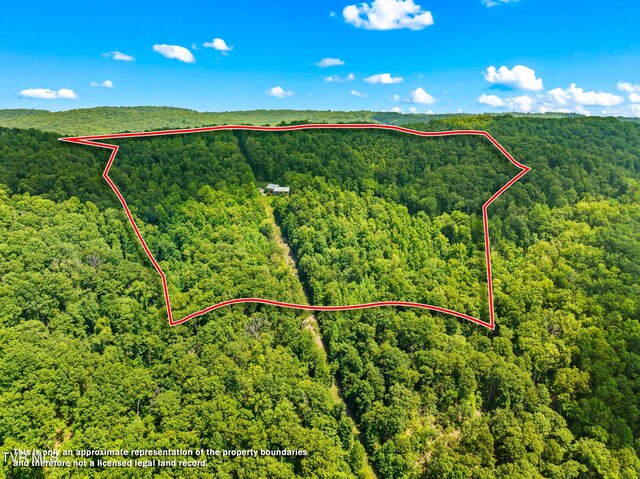 3388 Short Mountain Rd, Sneedville, TN 37869 - photo 61