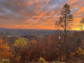 3388 Short Mountain Rd, Sneedville, TN 37869 - photo 3