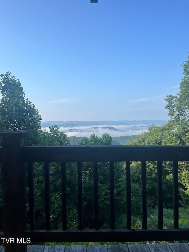 3388 Short Mountain Rd, Sneedville, TN 37869 - photo 34