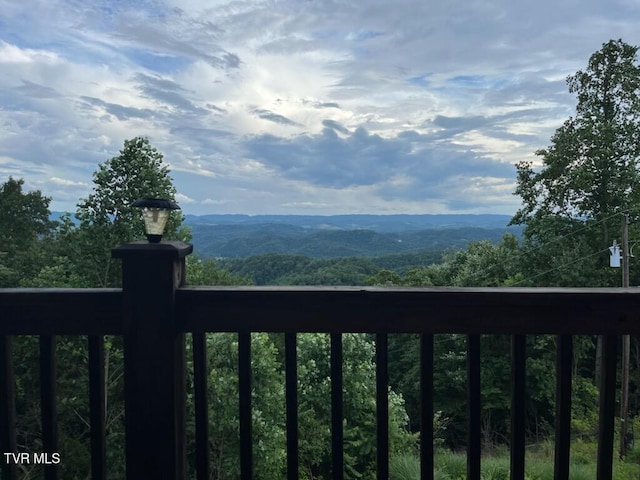 3388 Short Mountain Rd, Sneedville, TN 37869 - photo 6