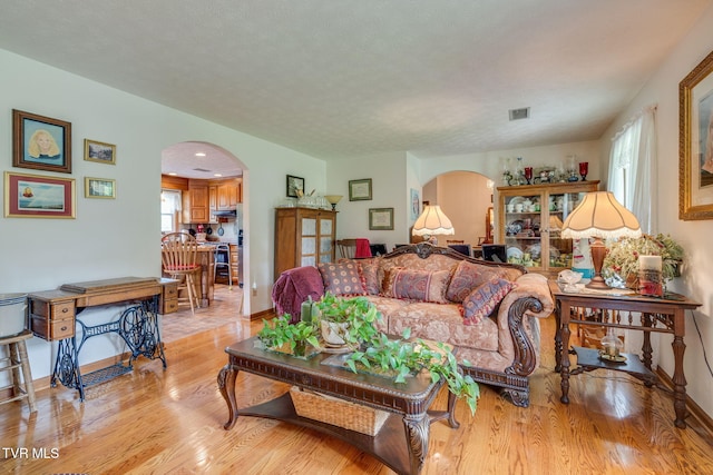 2129 Philon Dr, Kingsport, TN 37660 - living room featuring arched walkways and light wood-style flooring